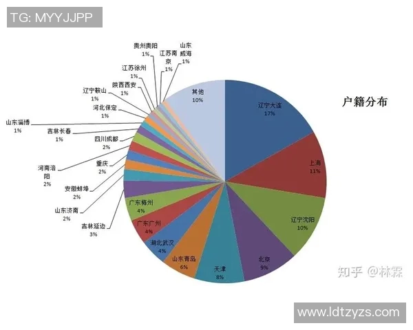 深圳足球队的崛起与发展：探索其背后的力量与潜力分析