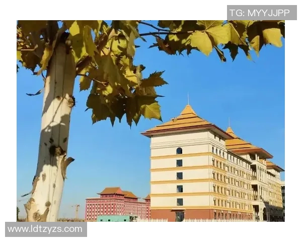 深圳羽毛球队的崛起之路：从默默无闻到大师赛的辉煌成就