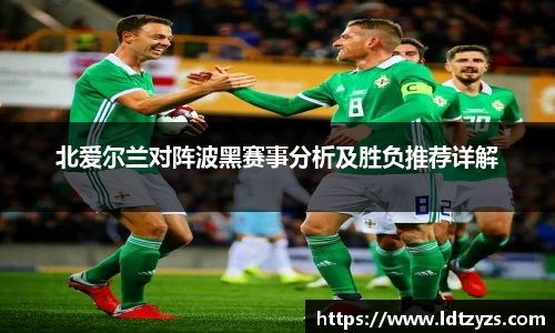 北爱尔兰对阵波黑赛事分析及胜负推荐详解